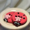 WhatsApp Image 2026-04-01 at 2.47.23 PM Ladybug Worry Stone