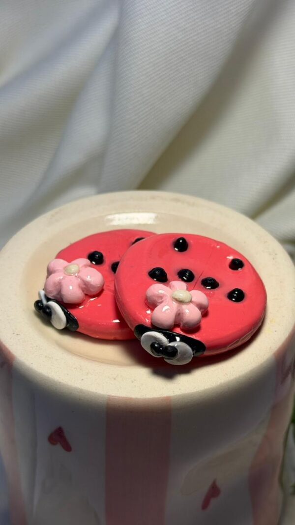 WhatsApp Image 2026-04-01 at 2.47.23 PM Ladybug Worry Stone