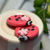 Ladybug Worry Stone