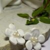 Daisy Pearls Earrings