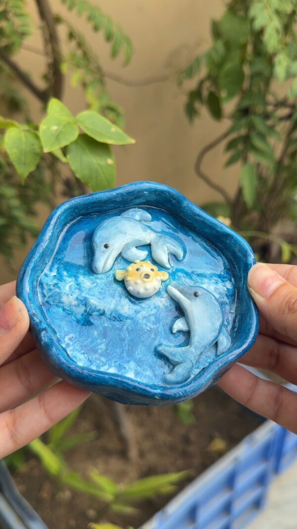 dolphin 1 Dolphin Tray