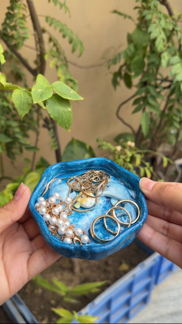 dolphin 3 Dolphin Tray