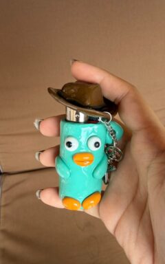 perry Perry the Platypus