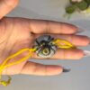 Silver Spider Rakhi